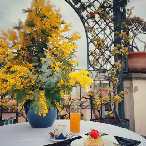 334947879_559083829529746_3003512841765538650_n